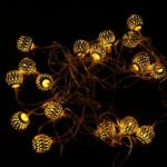 F5 2M-20LEDs LED String Fairy Lights Warm White Gold Wire Ball Lighting Christmas Halloween Party Decor DC4.5V