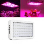 600W LED Grow Light Full Spectrum Medical Indoor Home Garden Plant Panel Lamp UK Plug