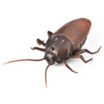 Infrared Remote Control Fake Cockroach Prank Toy