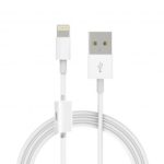 Lightning to USB Cable with Extra Lighting Earphone Port