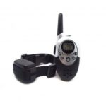 M613 Rechargeable Waterproof 3-mode Dog Training Collar with Remote 800 Yard Range