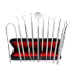 Stainless Steel Tooth Care Kit Dental Tools 10PCS