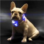 New 
                        
                            Small Beast Star XL81-5001 Dog Collar Luminous Adjustable Waterproof For Pet – Blue