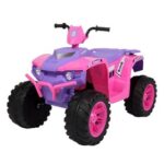 New LEADZM LZ-9955 All Terrain Vehicle Dual Drive Battery 12V7AH*1 with Slow Start – Pink