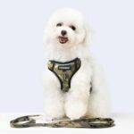 New DOGNESS Harness Dog Leash Sets Adjustable Lengths Reflective Design Breathable Mesh Dogs Collar – Camouflage Green